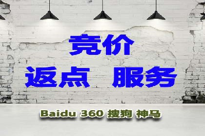 百度广告投放策略与效果评估案例